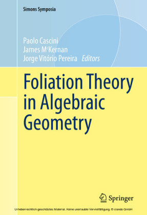 Foliation Theory in Algebraic Geometry