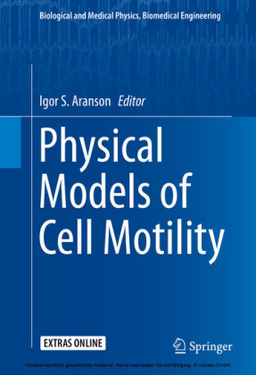 Physical Models of Cell Motility