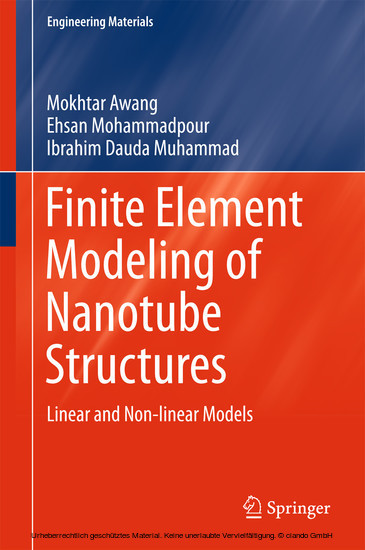 Finite Element Modeling of Nanotube Structures main product photo