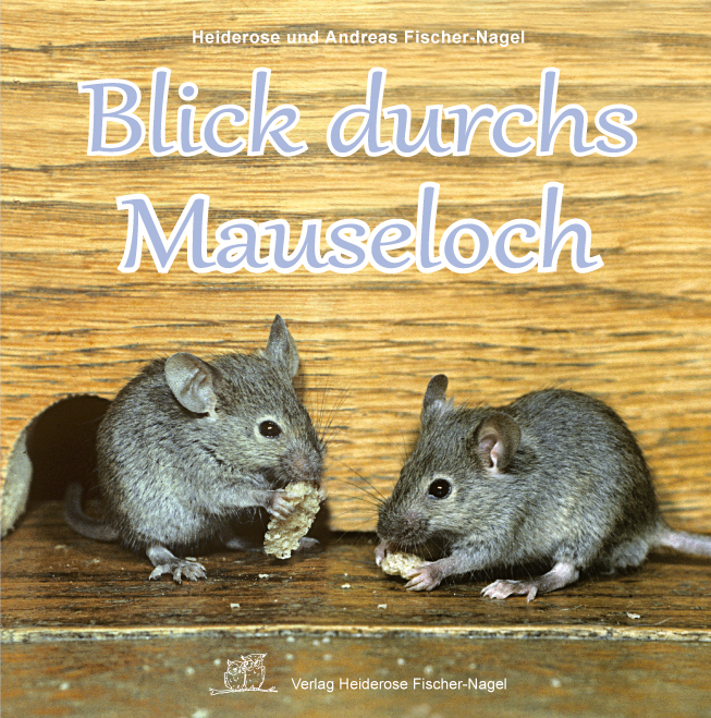 Blick durchs Mauseloch main product photo