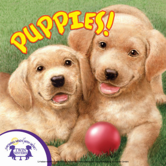Know-It-Alls! Puppies
