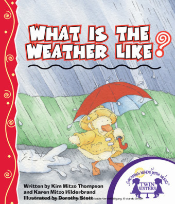 What Is The Weather Like Today?