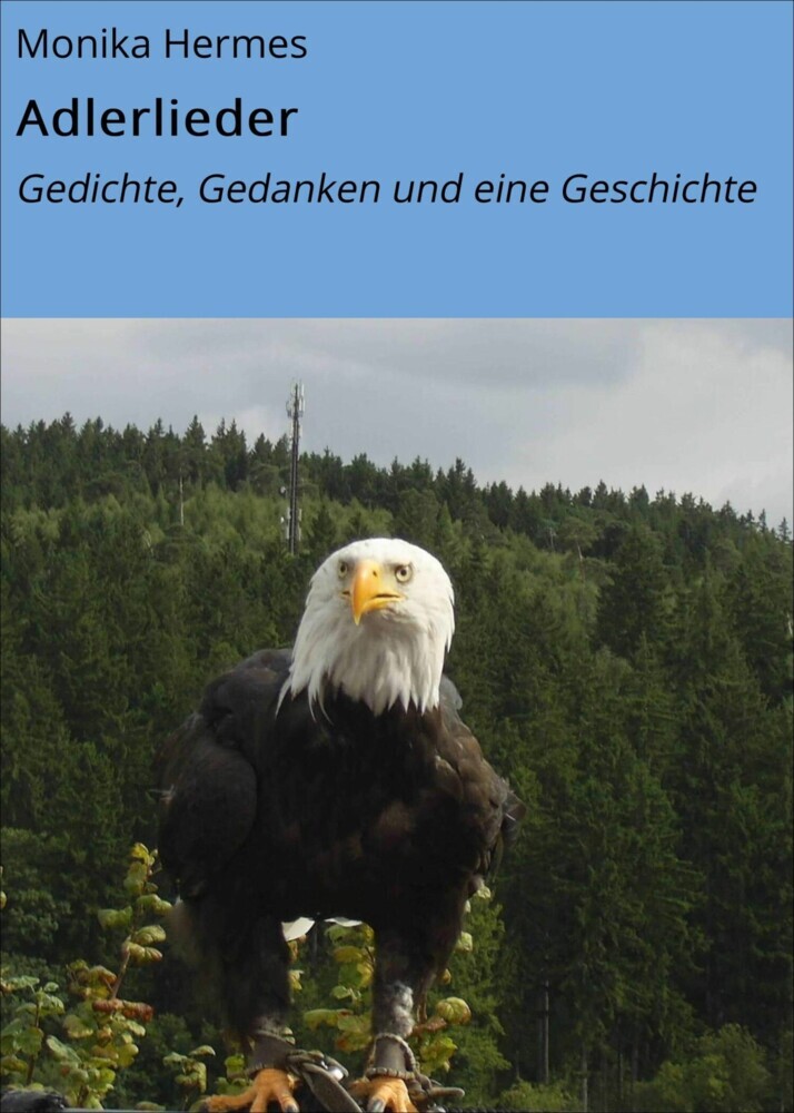 Adlerlieder main product photo