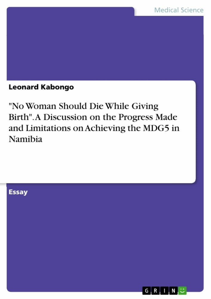 'No Woman Should Die While Giving Birth'. A Discussion on the Progress Made and Limitations on Achieving the MDG5 in Namibia main product photo