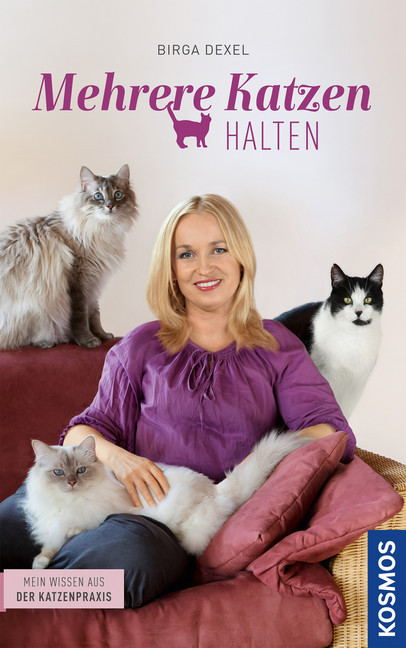 Mehrere Katzen halten main product photo