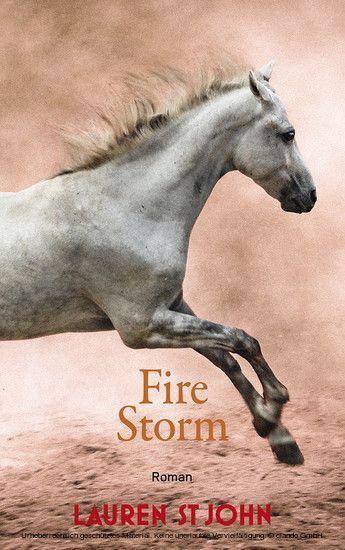 Fire Storm main product photo