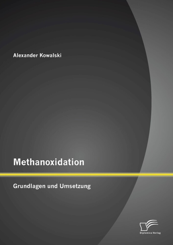 Methanoxidation: Grundlagen und Umsetzung main product photo