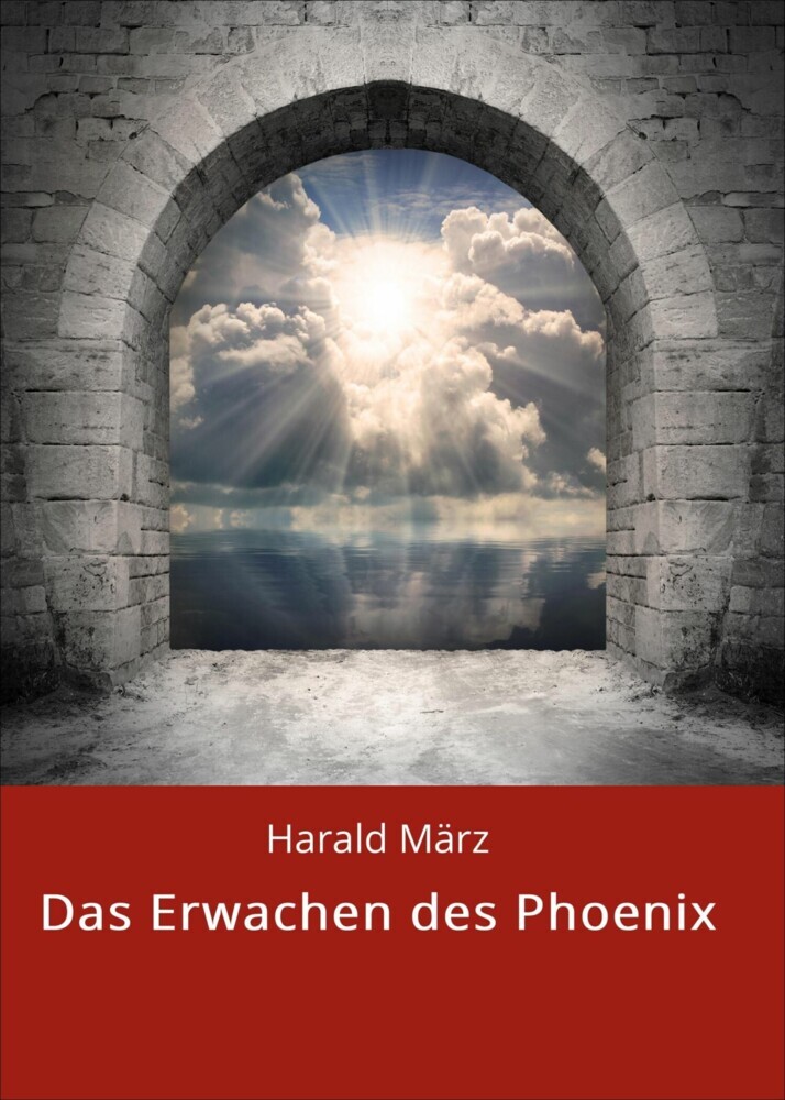 Das Erwachen des Phoenix main product photo