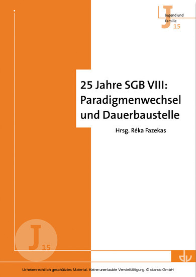 25 Jahre SGB VIII: Paradigmenwechsel und Dauerbaustelle main product photo