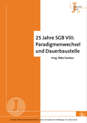 25 Jahre SGB VIII: Paradigmenwechsel und Dauerbaustelle