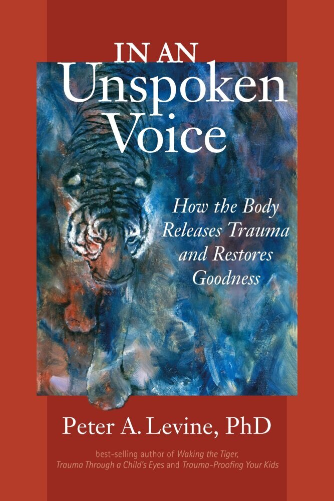 In An Unspoken Voice main product photo