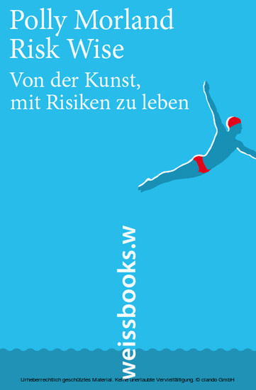 Risk Wise main product photo