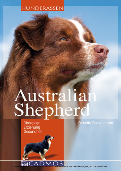 Australian Shepherd main product photo