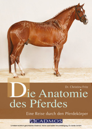 Die Anatomie des Pferdes