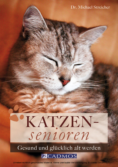 Katzensenioren main product photo
