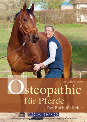 Osteopathie für Pferde