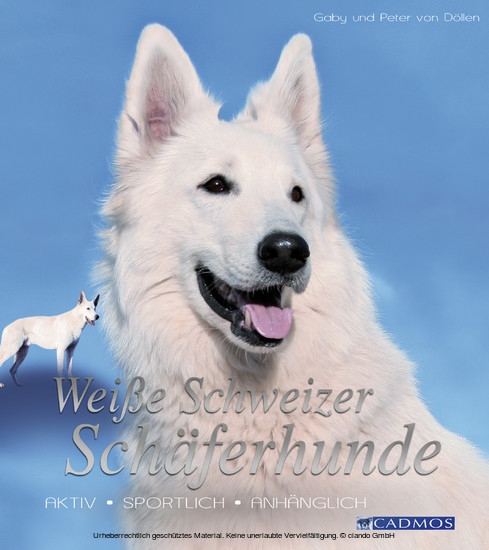 Weiße Schweizer Schäferhunde main product photo