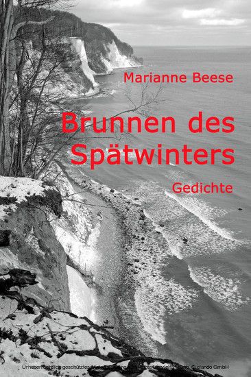 Brunnen des Spätwinters main product photo