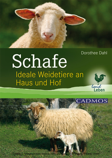 Schafe main product photo