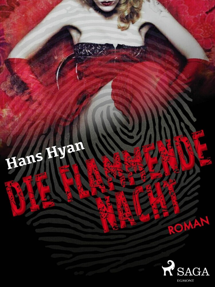 Die flammende Nacht main product photo