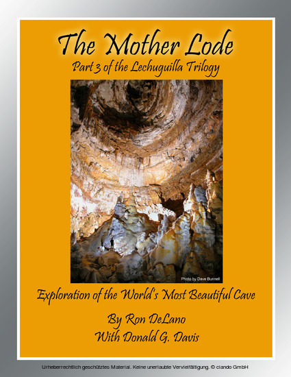 The Mother Lode main product photo