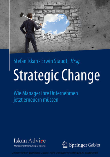 Strategic Change main product photo