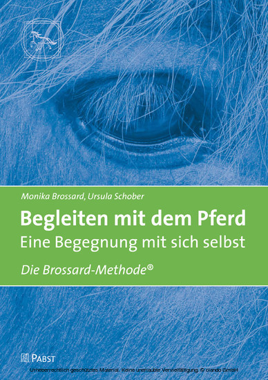 Begleiten mit dem Pferd - Eine Begegnung mit sich selbst main product photo