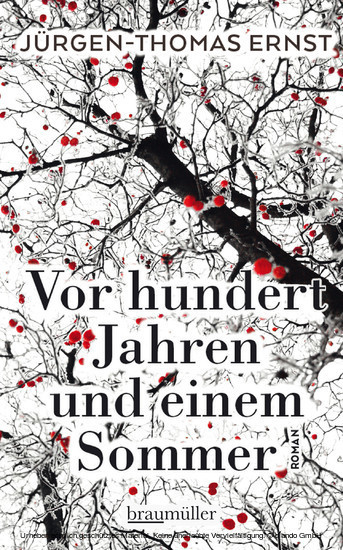 Vor hundert Jahren und einem Sommer main product photo