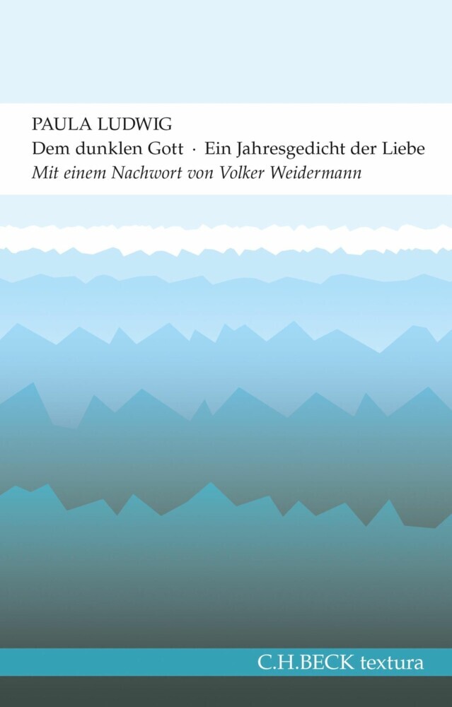 Dem dunklen Gott main product photo