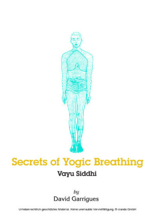 Secrets of Yogic Breathing: Vayu Siddhi