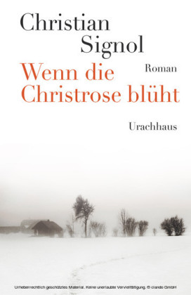 Wenn die Christrose blüht