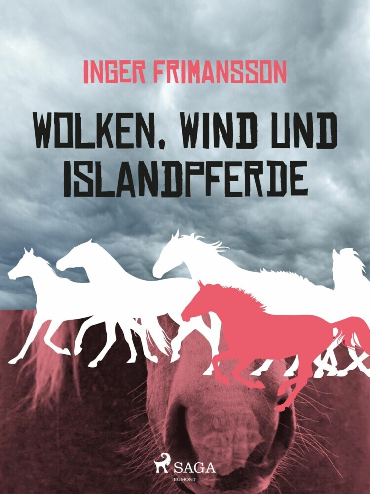 Wolken, Wind und Islandpferde main product photo