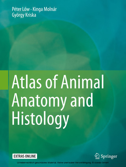 Atlas of Animal Anatomy and Histology main product photo