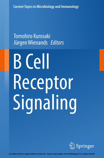 B Cell Receptor Signaling main product photo