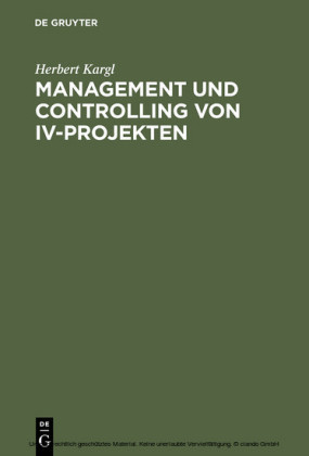 Management und Controlling von IV-Projekten