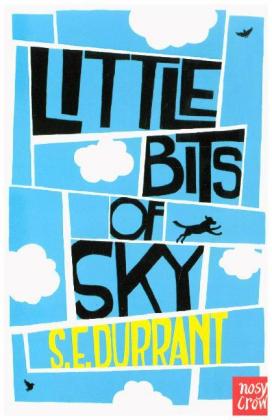 Little Bits of Sky