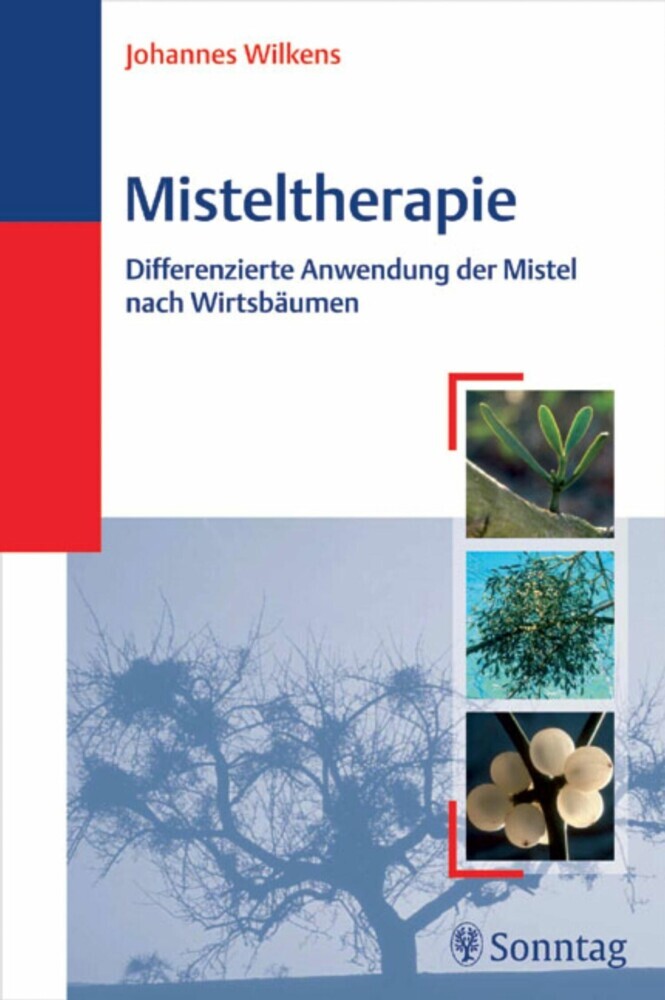 Misteltherapie main product photo
