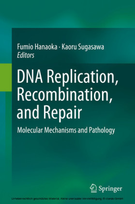 DNA Replication, Recombination, and Repair