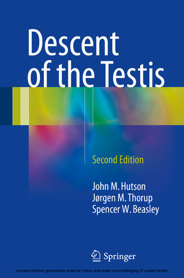 Descent of the Testis main product photo