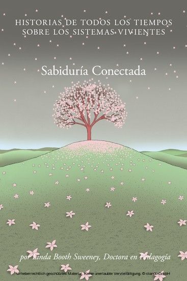 Sabiduria Conectada main product photo