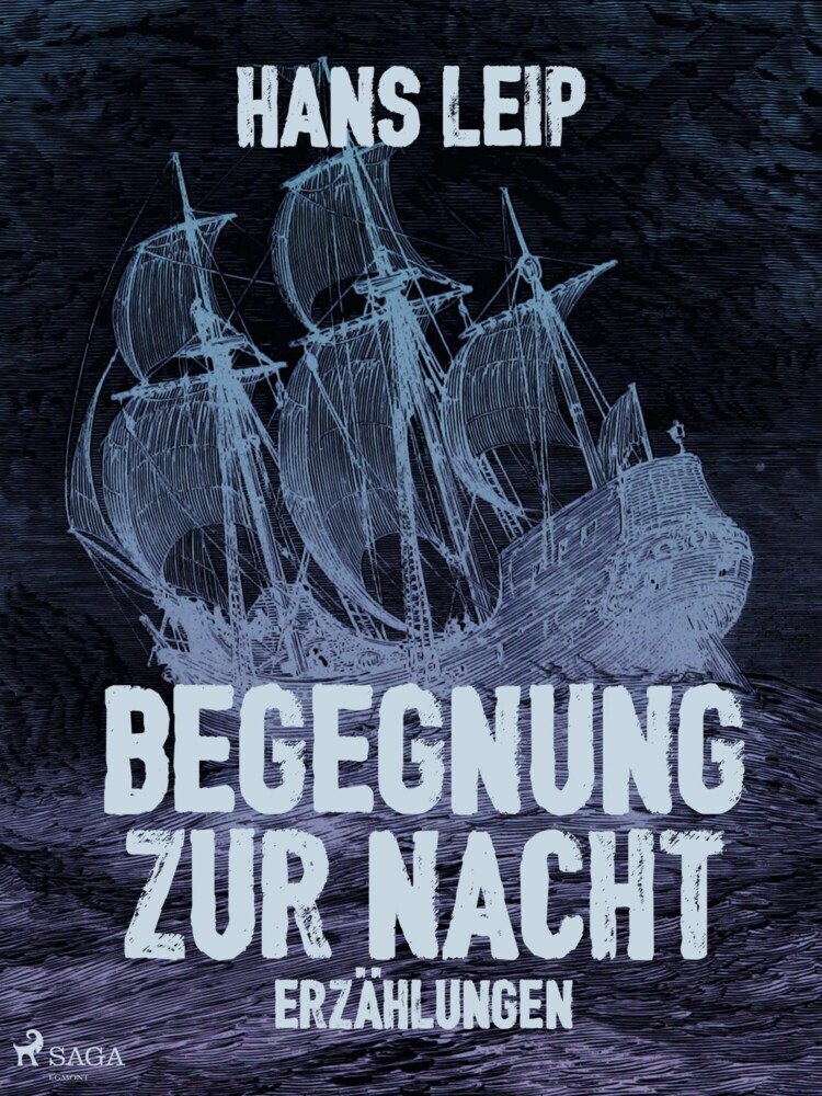 Begegnung zur Nacht main product photo