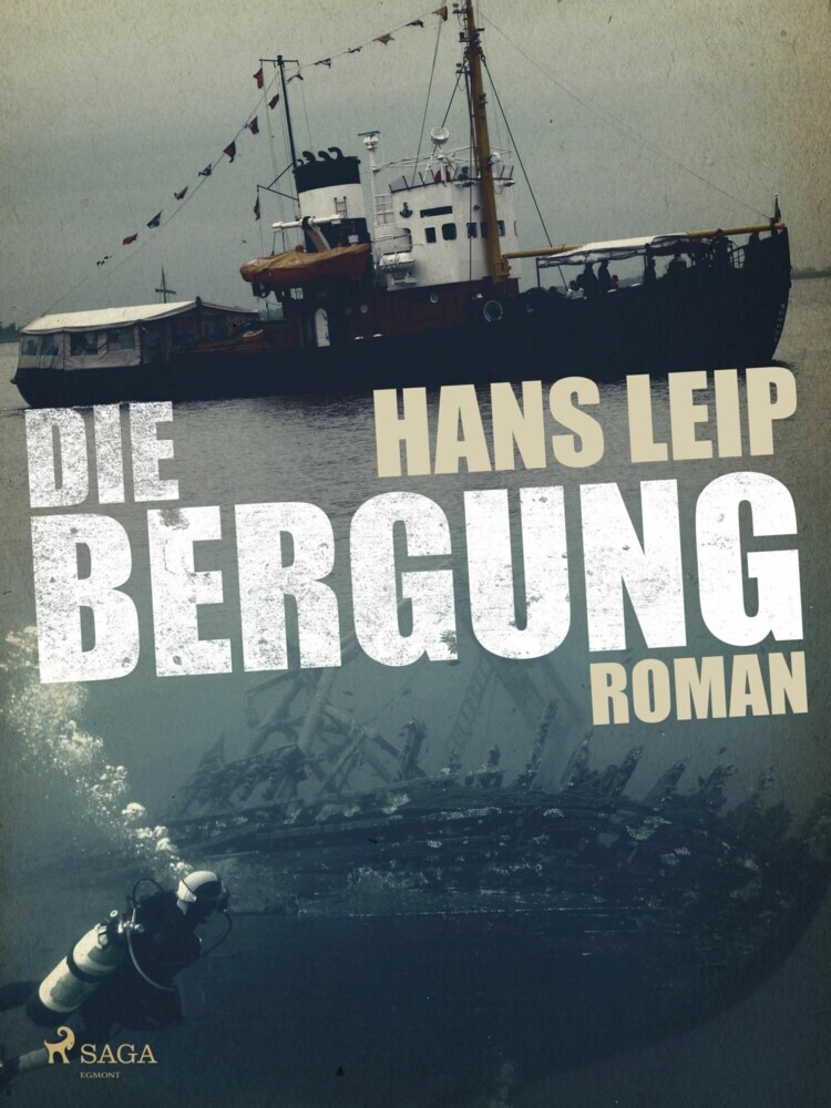 Die Bergung main product photo