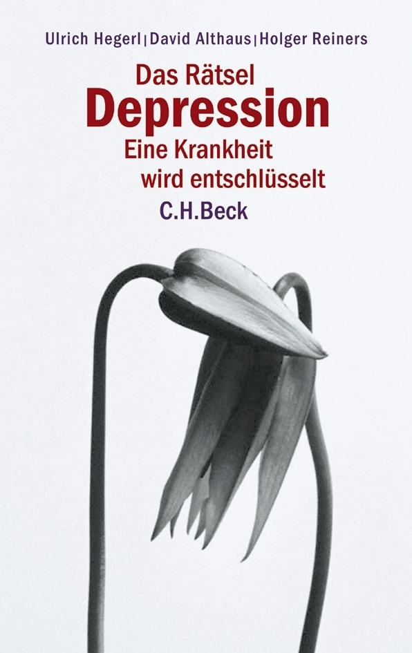 Das Rätsel Depression main product photo