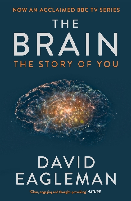 The Brain main product photo