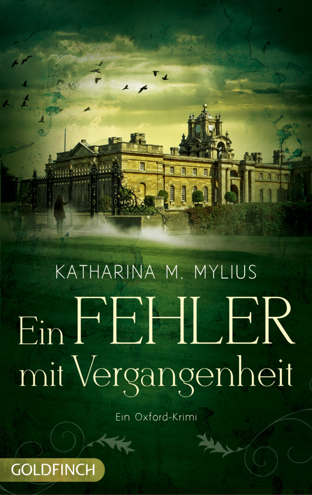 Ein Fehler mit Vergangenheit main product photo