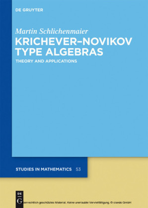 Krichever-Novikov Type Algebras