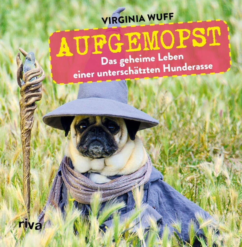 Aufgemopst main product photo