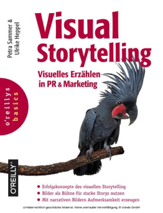 Visual Storytelling