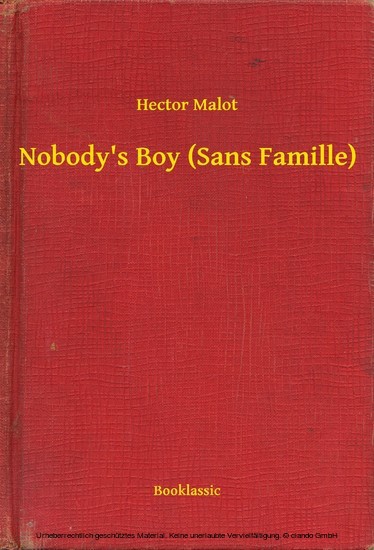 Nobody's Boy (Sans Famille) main product photo