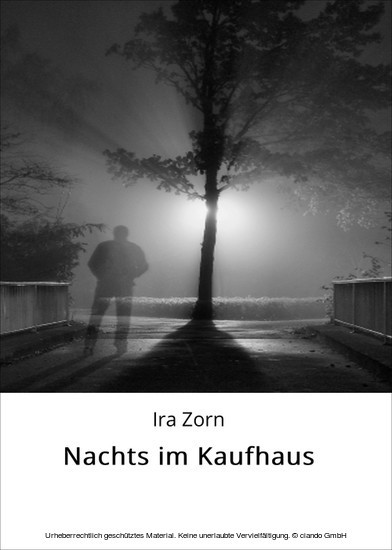 Nachts im Kaufhaus main product photo